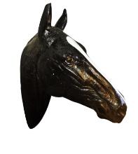 LARGE PLASTIC WALL MOUNT HORSE HEAD  DISPLAY - PICK UP ONLY