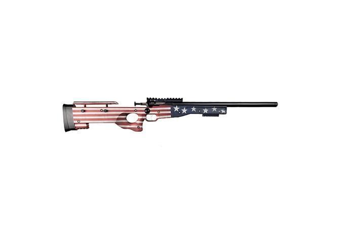 Keystone Sporting Arms - Crickett Precision Rifle - 22 LR