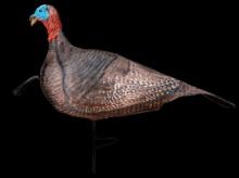 Primos 69069 Photoform Jake Turkey LightweightFlexibleCollapsible Brown Foam Realistic Coloration