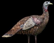 Avian X AVXAVX8006 LCD Lookout Hen Turkey Species Multi Color DuraRubber