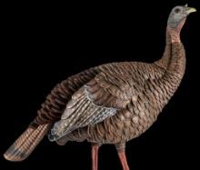 Avian X AVXAVX8106 HDR Hen Turkey Species Multi Color