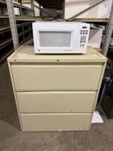 Metal File Cabinet & Microwave