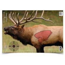 B/C TARGET PREGAME 16.5X24 ELK TARGET 3-TARGETS
