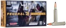 Federal P300Wtc1 Premium 300 Win Mag 180 Gr Trophy Copper (Tc) 20 Bx
