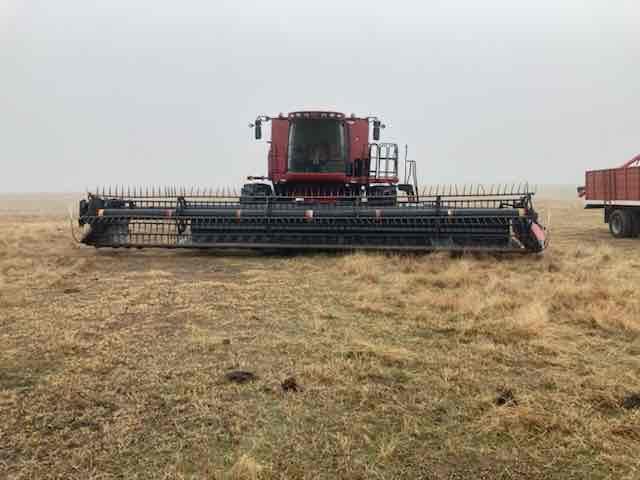 2011 CASE 9120 COMBINE 2069 ENGINE HOURS 1549 SEPERATOR HOURS POWERFOLD BIN, AFS 600 MONITOR SELLS