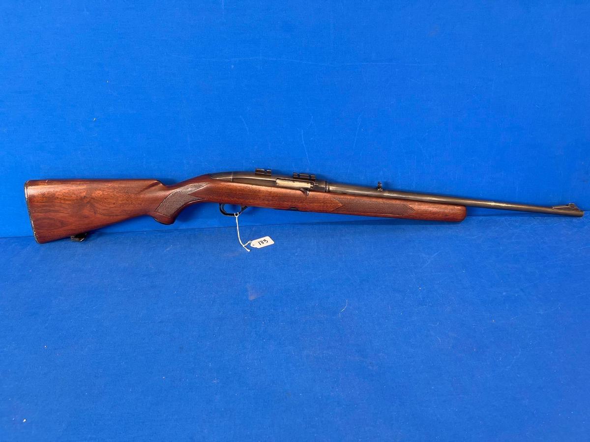 WINCHESTER 100