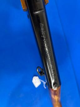 DAISY RED RYDER
