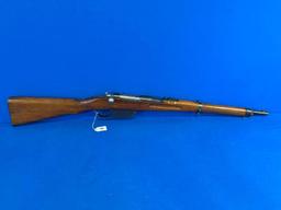 CAI STEYR