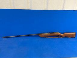MARLIN ORIGINAL GOOSE GUN 55