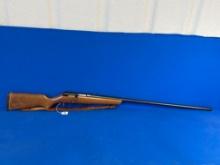 MARLIN ORIGINAL GOOSE GUN 55