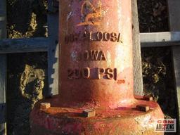 Fire Hydrant 2 Outlet...