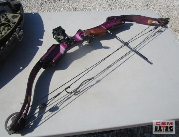 2-Compound Archery Bows With Carrying Case, Golden Eagle & Bear