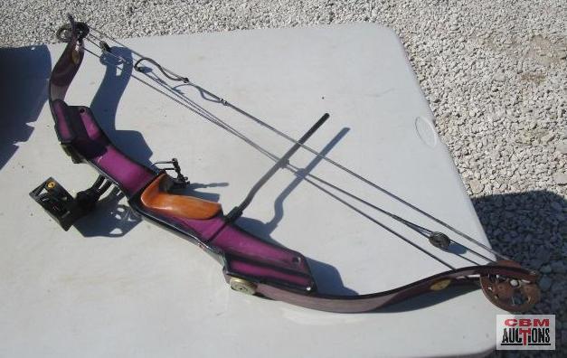2-Compound Archery Bows With Carrying Case, Golden Eagle & Bear