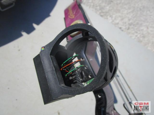 2-Compound Archery Bows With Carrying Case, Golden Eagle & Bear