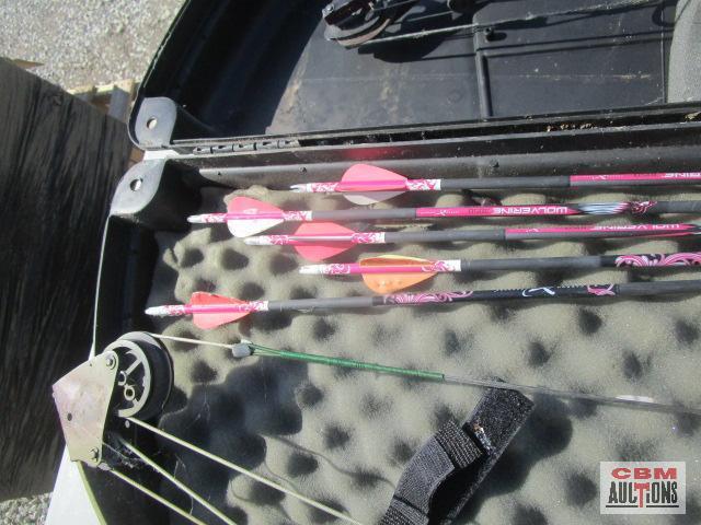 2-Compound Archery Bows With Carrying Case, Golden Eagle & Bear