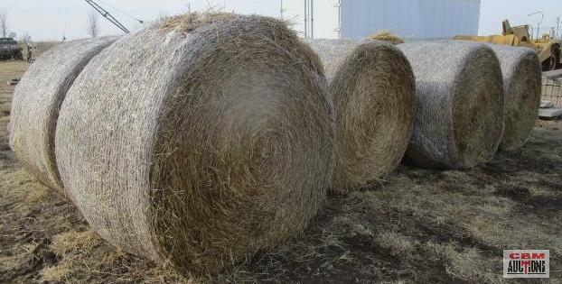 6 Round Bales Of Wheat Straw 4'x5' Net Wrapped 6 X TIMES THE BID