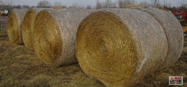 6 Round Bales Of Wheat Straw 4'x5' Net Wrapped 6 X TIMES THE BID