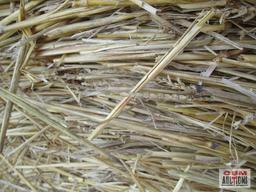 6 Round Bales Of Wheat Straw 4'x5' Net Wrapped 6 X TIMES THE BID