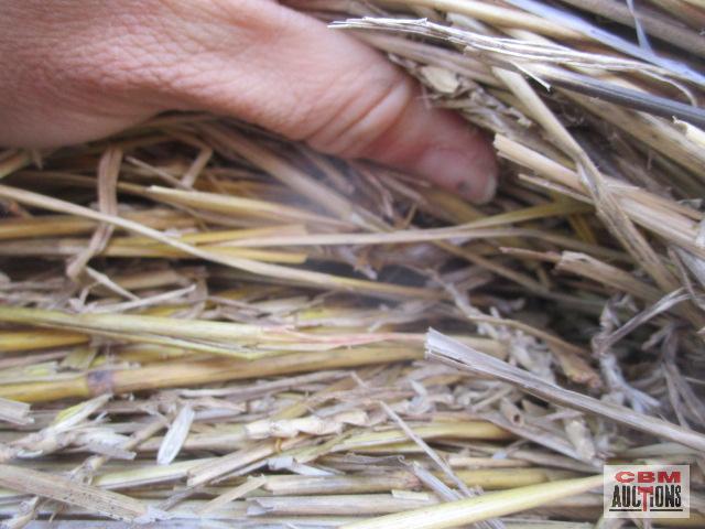 6 Round Bales Of Wheat Straw 4'x5' Net Wrapped 6 X TIMES THE BID