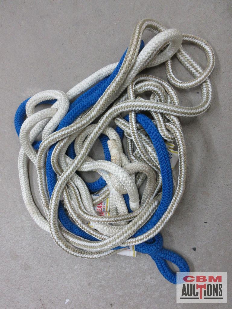 Premium Braided Hhgs12 1/2" White & Gold Nylon, Animal Leash/ Horse Halter w/ Lead Rope Premium