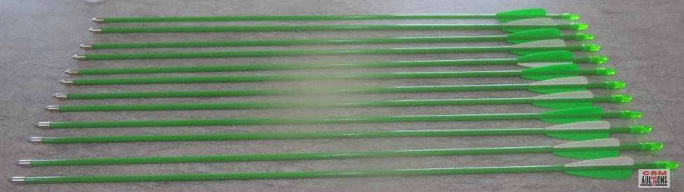 12- Neon Green 29" Arrows... *Office