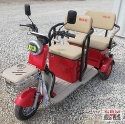 IRGC 40 Mini Golf Cart/Tricycle, Led Smart Screen, 3 Speeds, 60 Volt, 20A Long Life Battery S#1627
