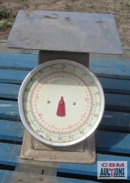 Metal Scale