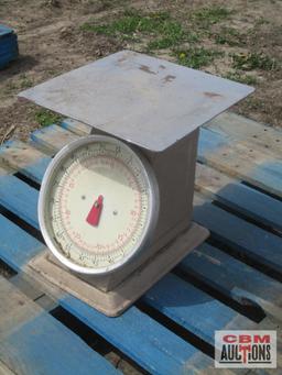 Metal Scale
