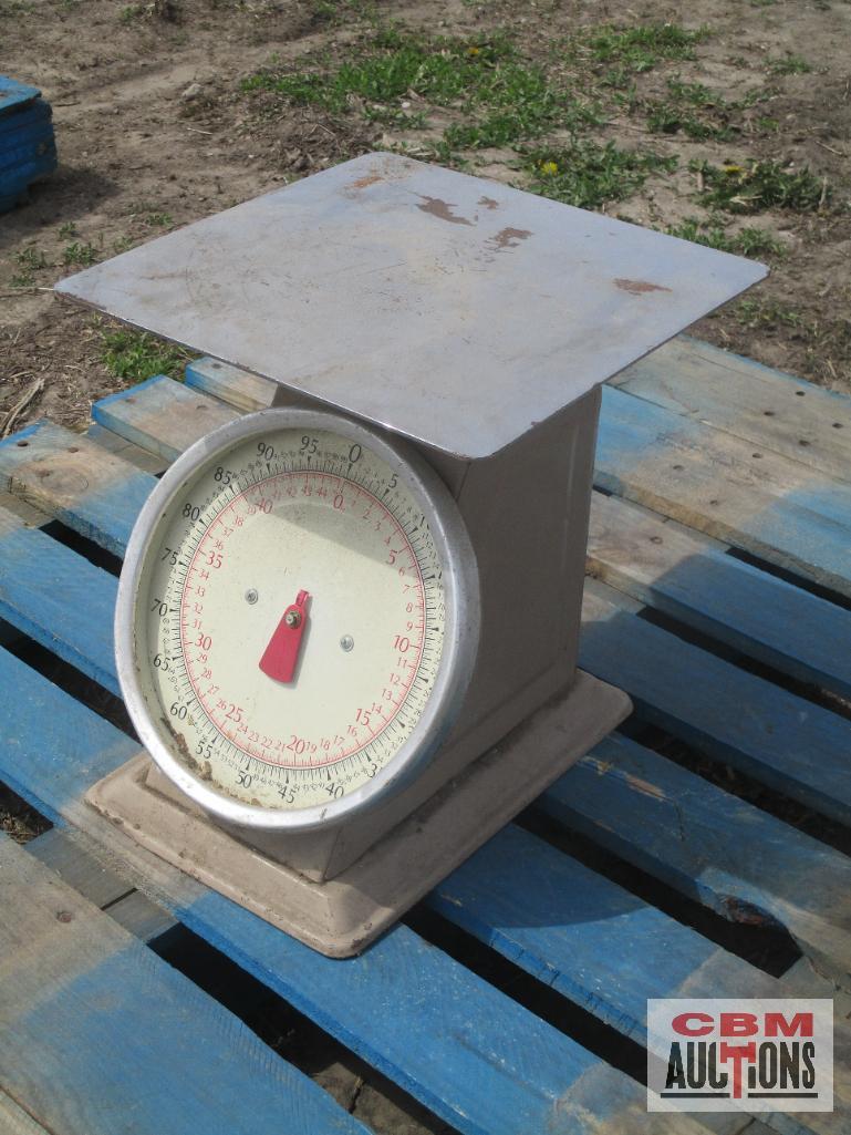 Metal Scale