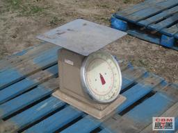 Metal Scale