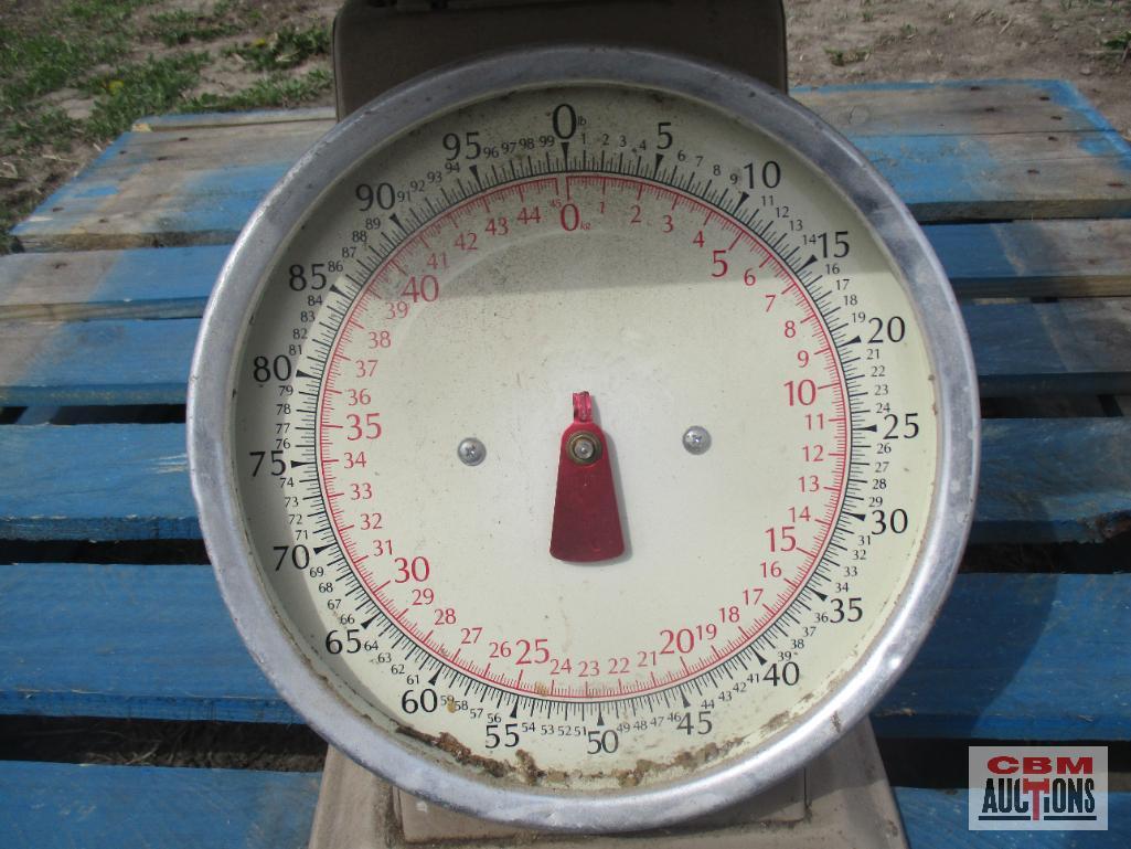 Metal Scale