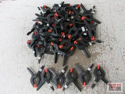 2" Nylon Spring Clamps - Set of 50(+/-)