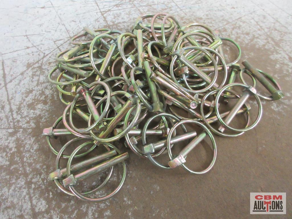 DHH21920 1/4" x 1-9/16" Lynch Pins - Set of 50(+/-)