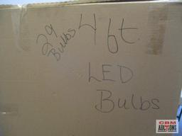 4' Light Bulbs *3