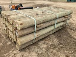 (28) 6" x 8' Treated Fence Posts