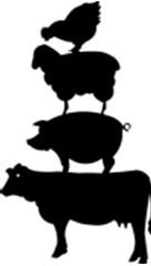 Marlette Livestock Auctions