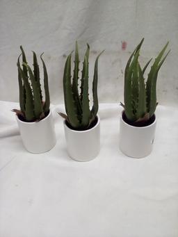 Qty. 3 Artificial 10” Plants