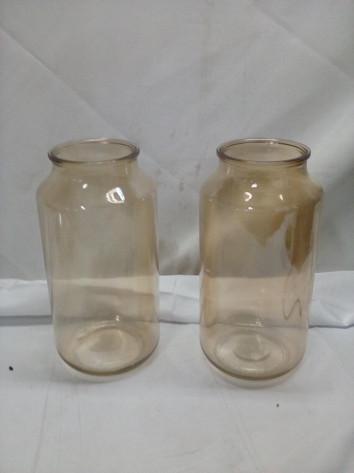 2 Large Glass Vases