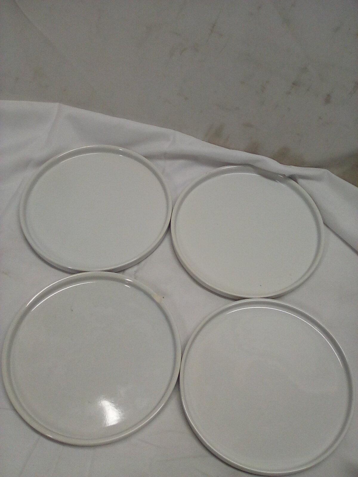 Set of 4 10.5 in plates, dishwasher safe