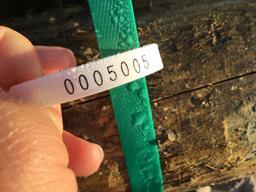 (28) 6'' X 8FT TREATED FENCE POST - ALL ONE PRICE