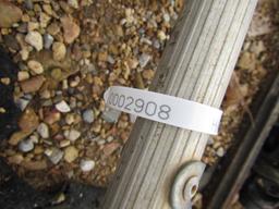 14FT LADDER AND CABLE