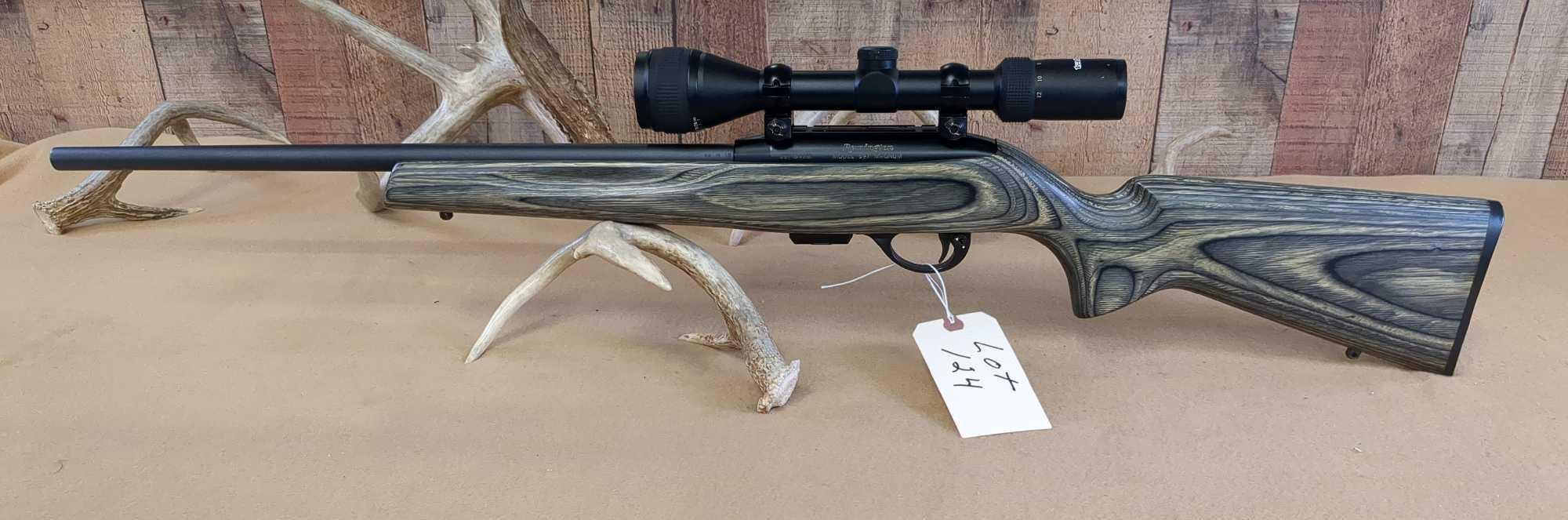 REMINGTON MODEL 597 .17 HMR SEMI-AUTO RIFLE