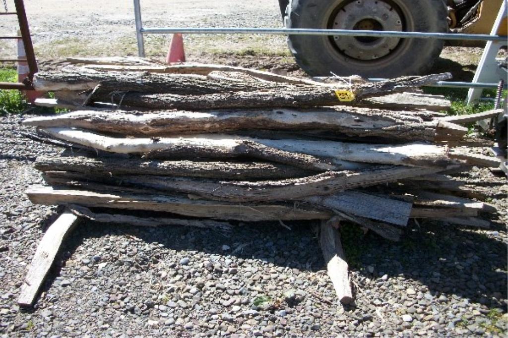 (50) Locust Fence Posts