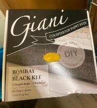 GIANI BOMBAY COUNTERTOP PAINT KITS