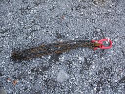 Chain sling