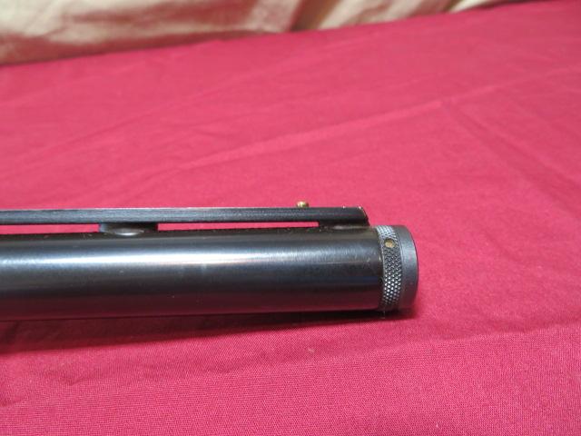 Winchester 1300 20 ga.