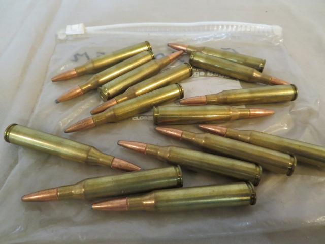 Assorted ammunition - .223/.45 ACP