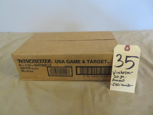 Winchester 20 ga. ammo - 250 rnds.