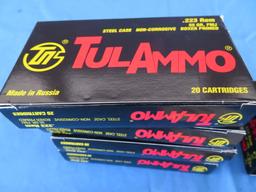 .223 Rem. Ammo - 160 rnds.