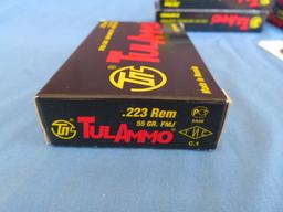 .223 Rem. Ammo - 160 rnds.